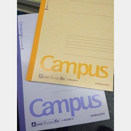 ペーパーレス化に直面（Ｃ）日刊ゲンダイ