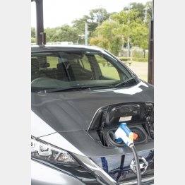 写真はイメージ（Ｃ）PIXTA