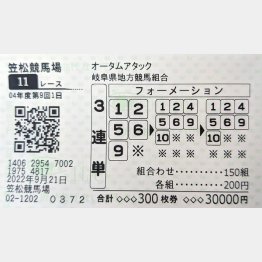 11レースの馬券（Ｃ）日刊ゲンダイ