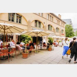 写真はイメージ