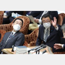 総理の盾にもならず汗もかかない…（岸田首相と松野官房長官）／（Ｃ）日刊ゲンダイ