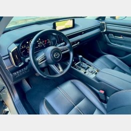 ツヤある黒皮調素材や茶色のステッチがカッコいい（写真）小沢コージ