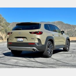 全幅は1.9m超えで日本マーケットじゃありえない（写真）小沢コージ