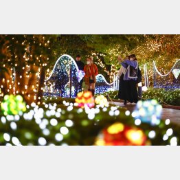 街はイルミネーションで彩られる（東京・新宿）／（Ｃ）共同通信社