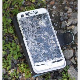 シャレにならない（Ｃ）日刊ゲンダイ