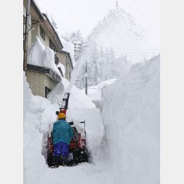 大雪に見舞われた新潟県魚沼市（Ｃ）共同通信社