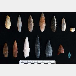 （オレゴン州立大の「Phys.org」への投稿から）