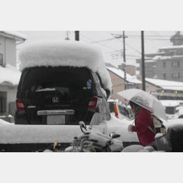 マフラーの除雪も欠かさずに（Ｃ）日刊ゲンダイ