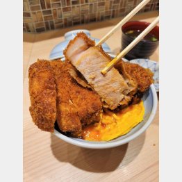 この厚さ！（Ｃ）日刊ゲンダイ