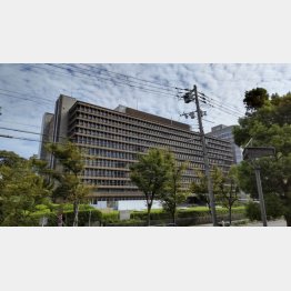 大阪地裁で注目の判決が