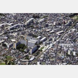 写真はイメージ