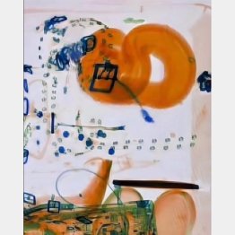 X線画像（TSAのインスグラムから）