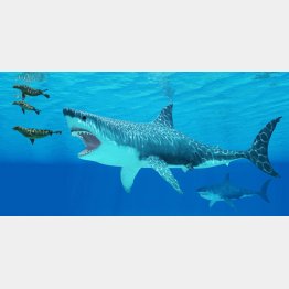 復元想像図（Ｃ）iStock