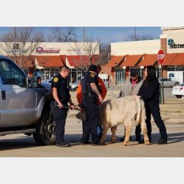 （スティルウォーター市警のフェイスブックから）