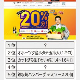 （ふるさと納税サイト「ふるなび」）