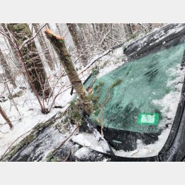 【写真1】米ニューハンプシャー州リー市警のフェイスブックから