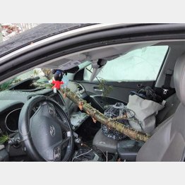 【写真2】米ニューハンプシャー州リー市警のフェイスブックから