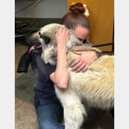 （マッカミー・アニマル・センターのフェイスブックから）