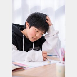 写真はイメージ