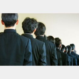 写真はイメージ