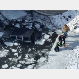 水没した車から愛犬のクーパーが助け出されたところ（トムさんのフェイスブックから）