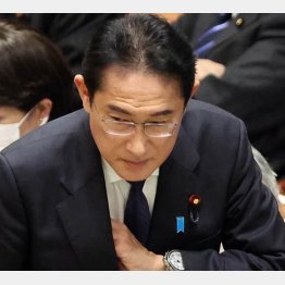 勝負に打って出るのか（岸田首相）／（Ｃ）日刊ゲンダイ
