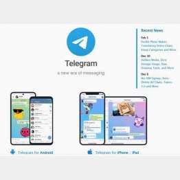 （テレグラムの公式HP）