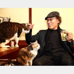 積極的に「おもてなし」してくれる猫たち（Ｃ）日刊ゲンダイ