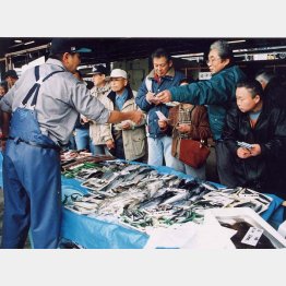 早く復活して欲しい小田原港の朝市（いまは休止中）／（Ｃ）日刊ゲンダイ