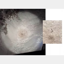 サーチライトで雪崩の現場を照らしなが捜索していると…左右に振られる腕が…！（エア・グレイシャーズSA社のフェイスブックから）03