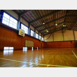 写真はイメージ