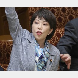 意気盛んに吠えても論点ズラシ（制しようとする松本総務相の手に構わず挙手をする高市早苗経済安保担当相）／（Ｃ）日刊ゲンダイ