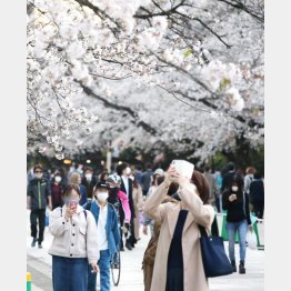 以前の盛況が戻ってくる（写真はイメージ）／（Ｃ）日刊ゲンダイ