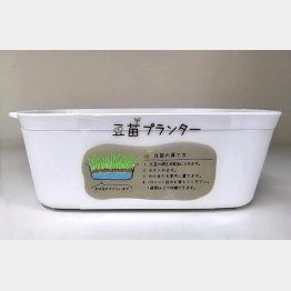 1～2回再生栽培ができる（提供写真）