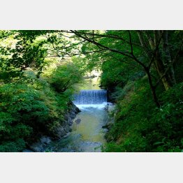 エコにもつながる（鳴子峡）
