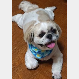 “わが子”のためにも…（Ｃ）日刊ゲンダイ