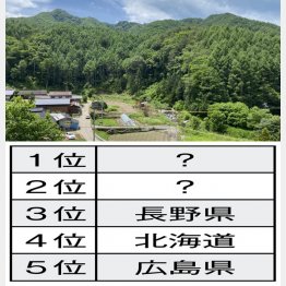 コロナ禍、地方へ移住する人が増えたが…（Ｃ）日刊ゲンダイ