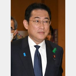 岸田首相個人に恨みがあったわけではなかった（Ｃ）日刊ゲンダイ