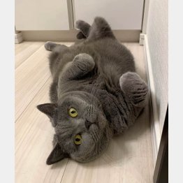 マリモさん。お互いのジェラシーがすごい（本人提供）