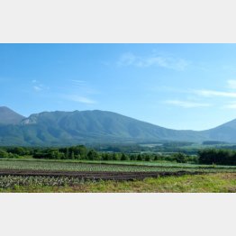 自然豊かで夏涼しいのが魅力（浅間山と嬬恋キャベツ畑）