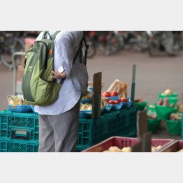 巡って巡ってお手頃を探しても…（Ｃ）日刊ゲンダイ