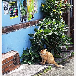 世話をしっかりと（Ｃ）日刊ゲンダイ