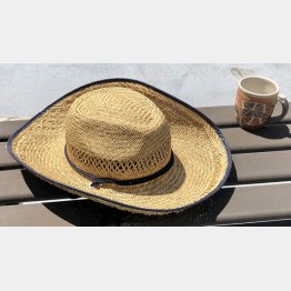 冬のほうが安く買える