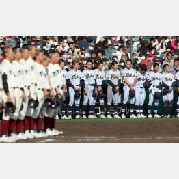 センバツ準々決勝で大阪桐蔭に敗れた東海大菅生ナイン（Ｃ）日刊ゲンダイ