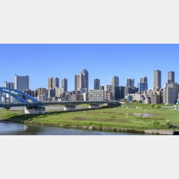 節税対策で購入したのに…（写真はイメージ）／（Ｃ）PIXTA