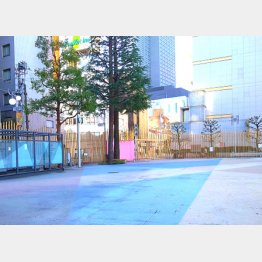 暑い盛りの昼日中に数人の女性が所在なげに…