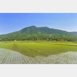 「筑波山あるキップ」もあるある（Ｃ）日刊ゲンダイ