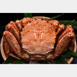 ふるさと納税による寄付金が過去最高を更新