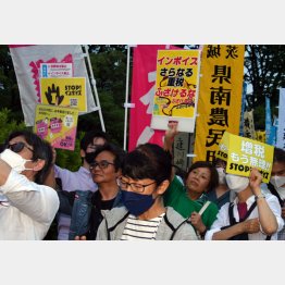 インボイス反対集会（Ｃ）日刊ゲンダイ