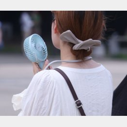 少しでも涼しく（Ｃ）日刊ゲンダイ